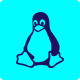 Icone Linux directadmin